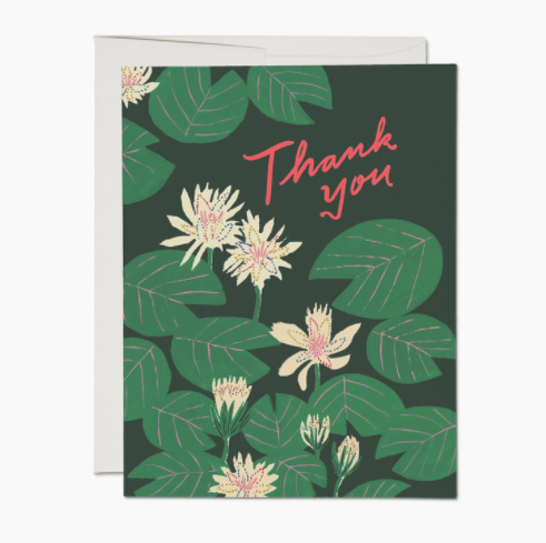 Water Lilies Thank You Card - Boxed Set of 8