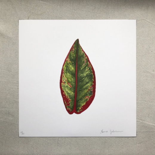 Chinese Evergreen Houseplant Art Print
