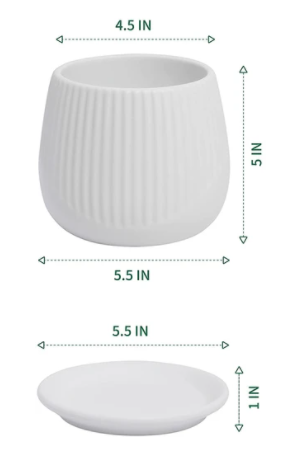 4.5 Inch Matte White Ceramic Plant Pot