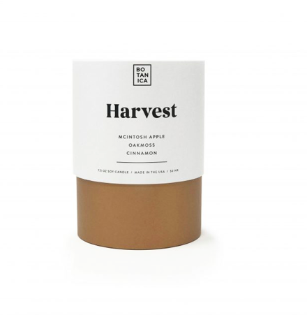 Harvest Medium Candle | 7.5oz