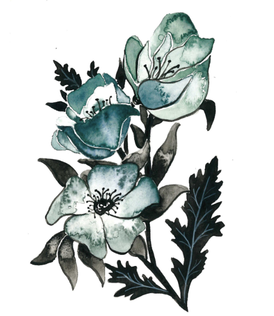 Blue Poppies I 5x7 Art Print
