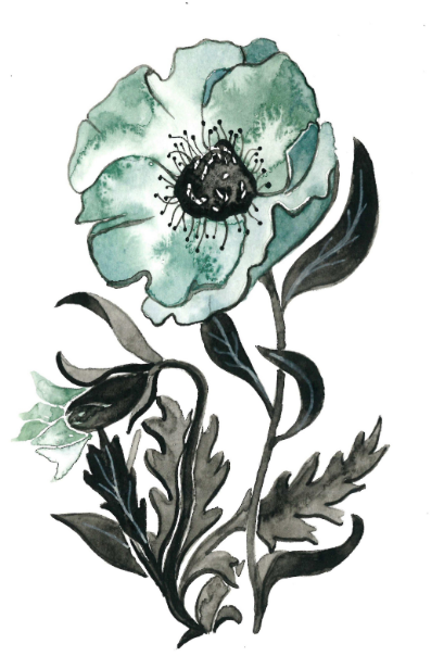 Blue Poppies IV 5x7 Art Print