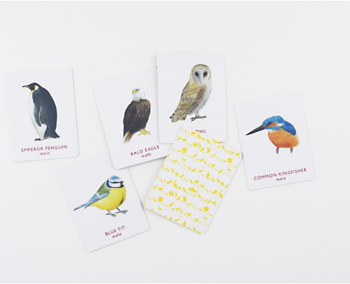 Match a Pair of Birds Memory Game