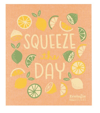 Squeeze the Day Swedish Dishcloth