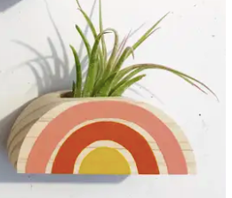 Rainbow Air Plant Holder (PLANT NOT INCLUDED)