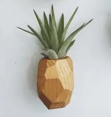 Pineapple Air Plant Magnets