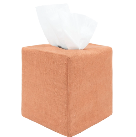 James Tissue Box Cover