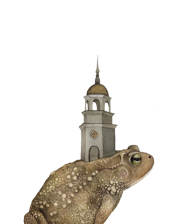 Toad and the Tower - Art Print