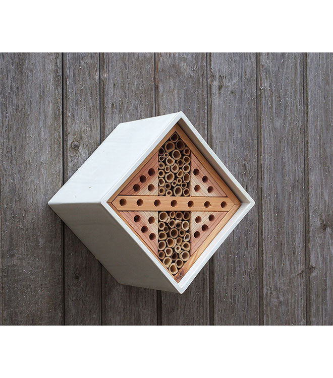 Urban Bee House