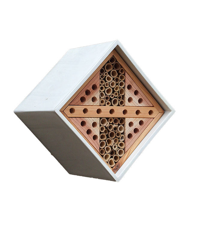 Urban Bee House