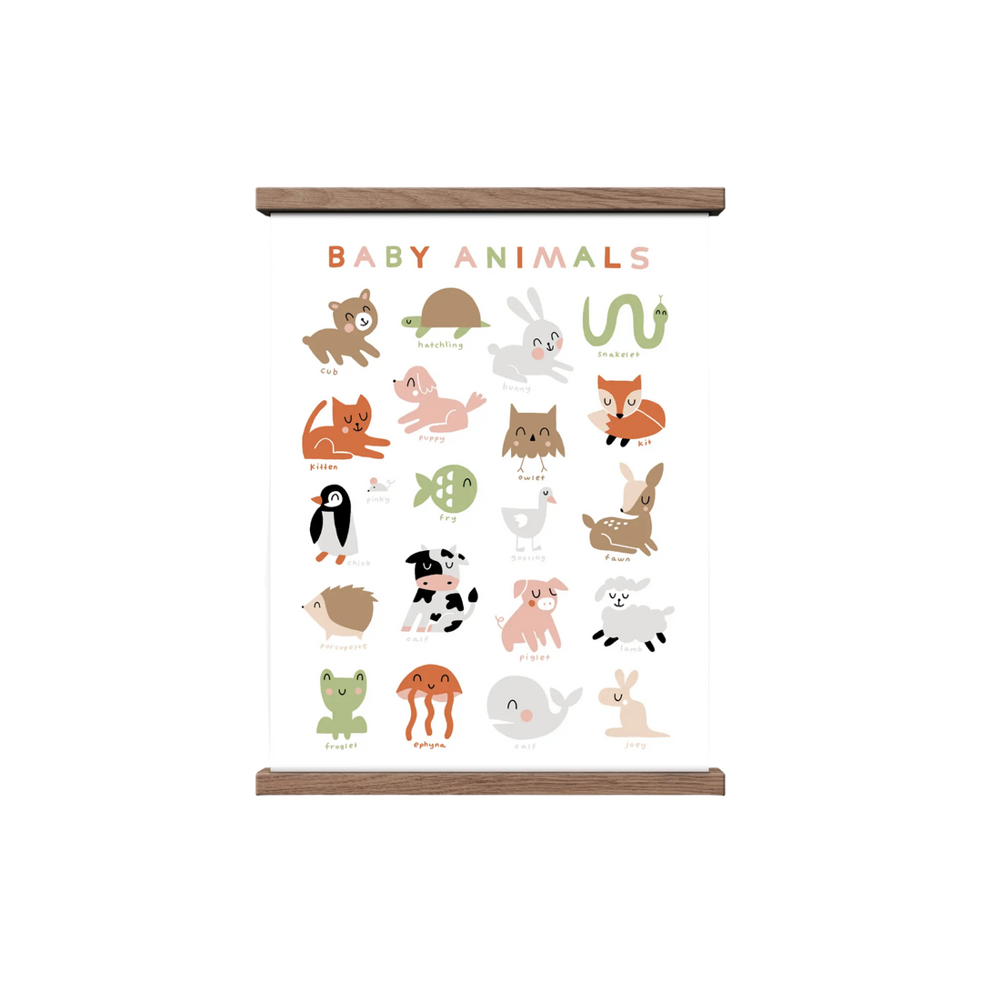 Baby Animals Art Print - 11 x 14
