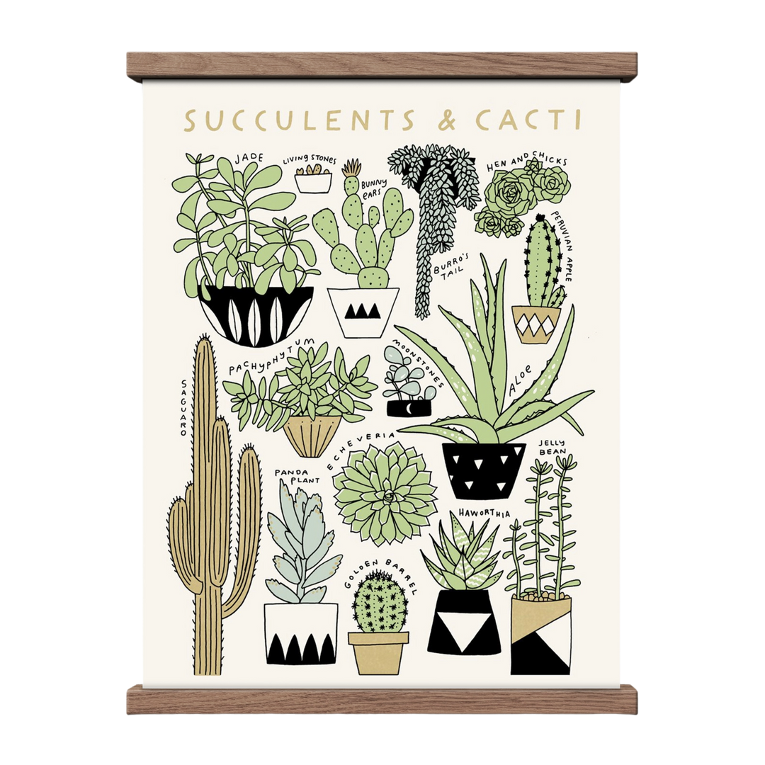 Succulents & Cacti 11 x 14 Botanical Print