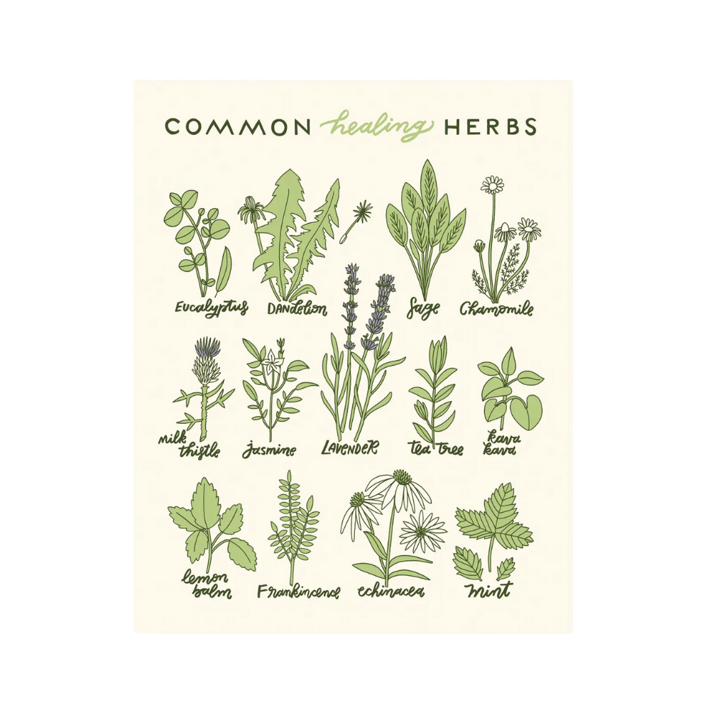 Healing Herbs Print