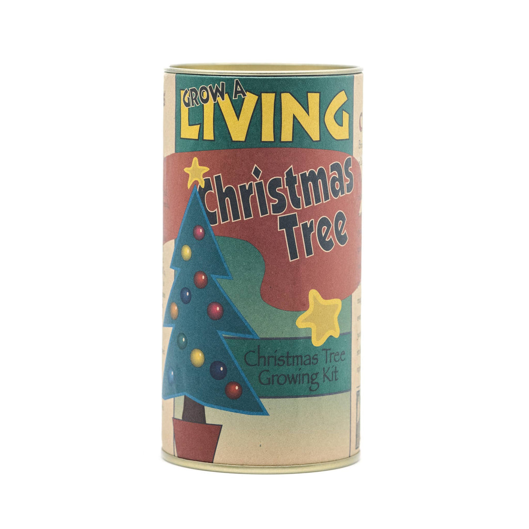 Living Christmas Tree Seed Grow Kit