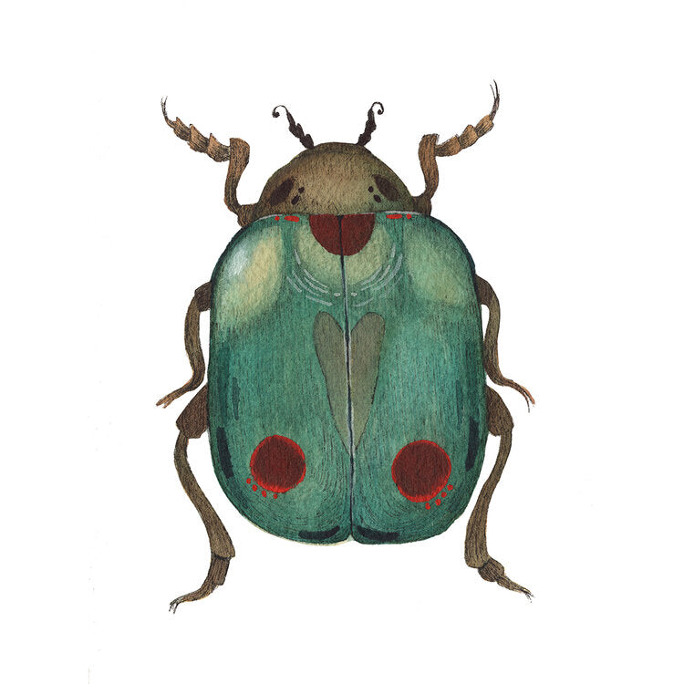 Bug Collection: Beetle - Art Print