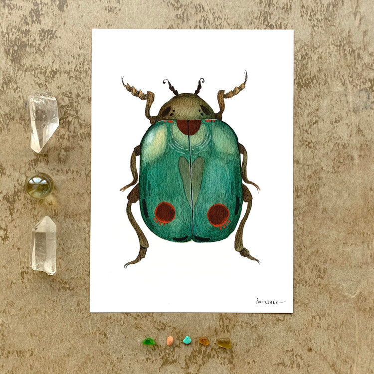 Bug Collection: Beetle - Art Print