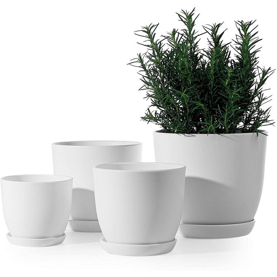 White Plastic Pot with Saucer - Curved Base