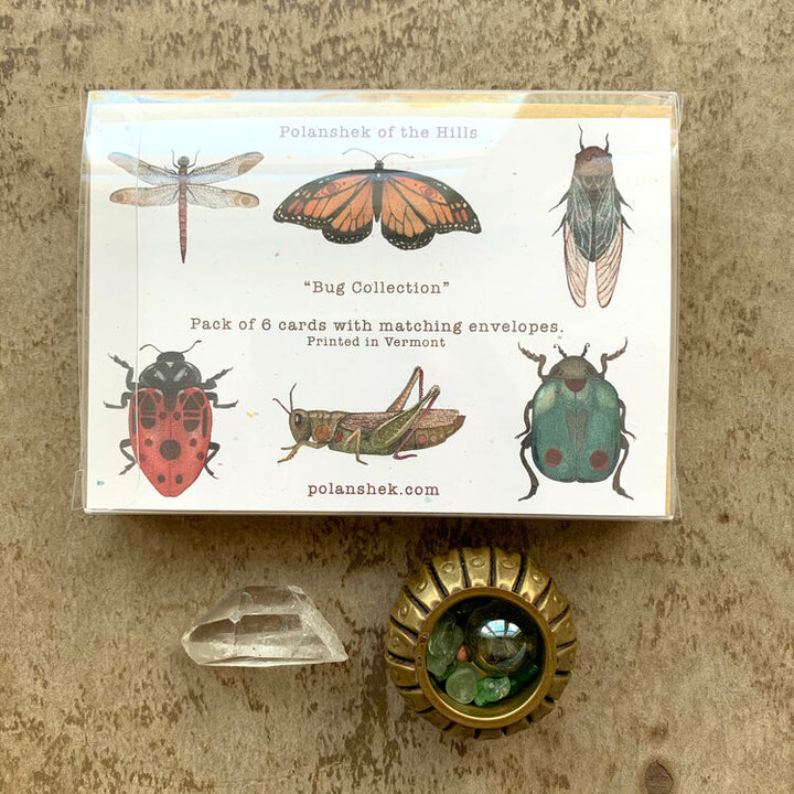 Bug Collection - Greeting Card Pack