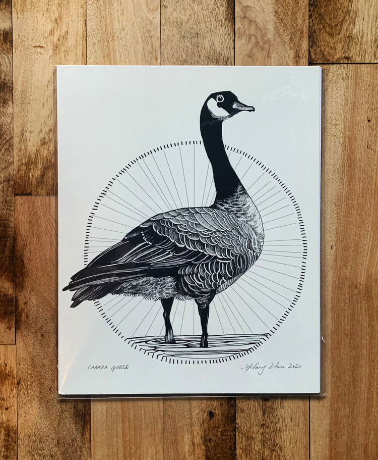 Black and White Canada Goose Print 8"x10"