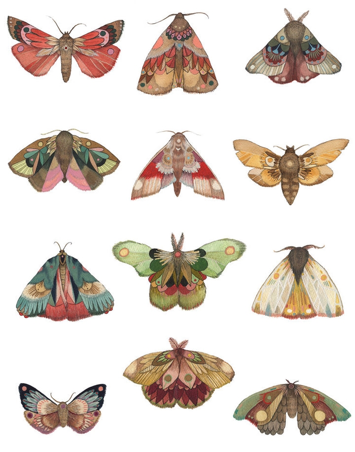 Collector: The Moths - Art Print