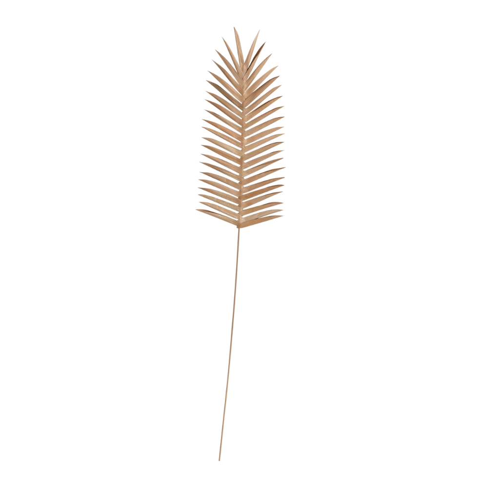 Handmade Buri Palm Pick