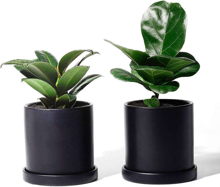 3.8 Inch Black Cylinder Plant Pot with Saucer