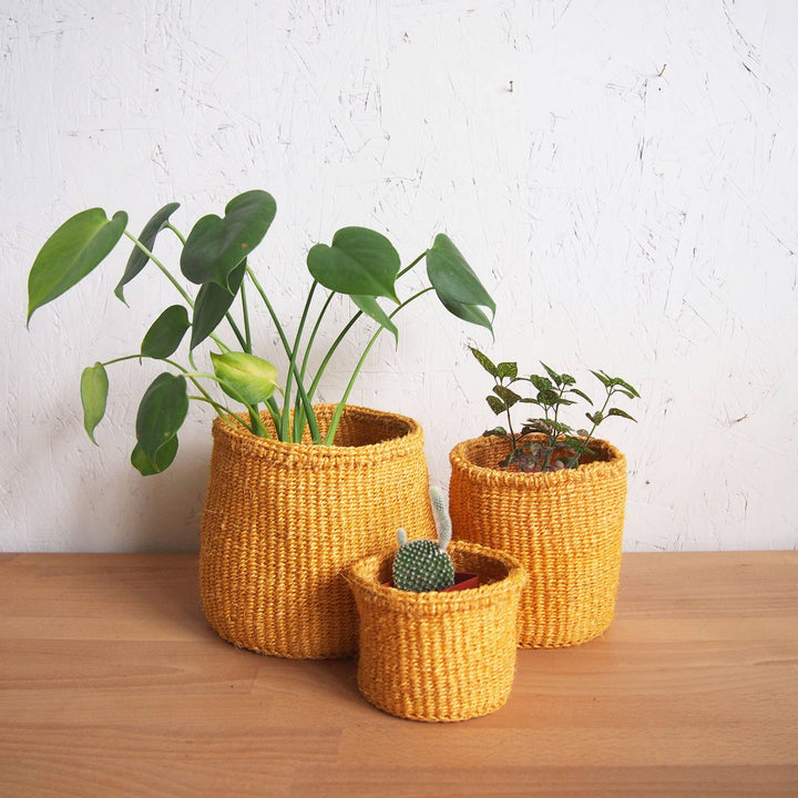 Wheat Storage Basket