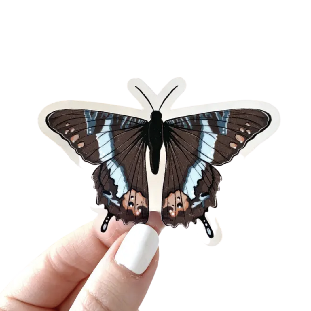 Brown Swallowtail Butterfly Clear Sticker