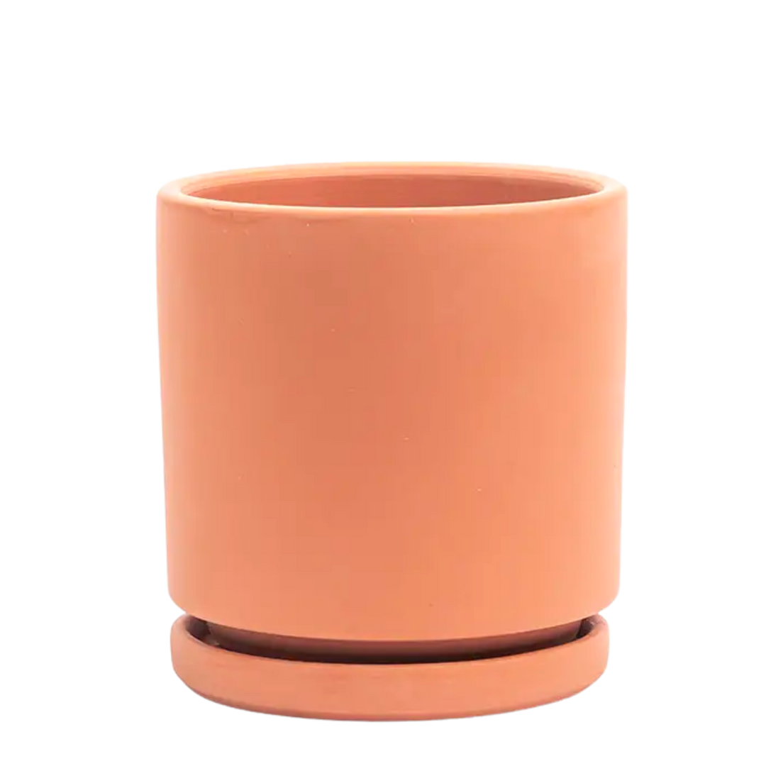 10.25" Terra-Cotta Cylinder Pots with Water Saucers