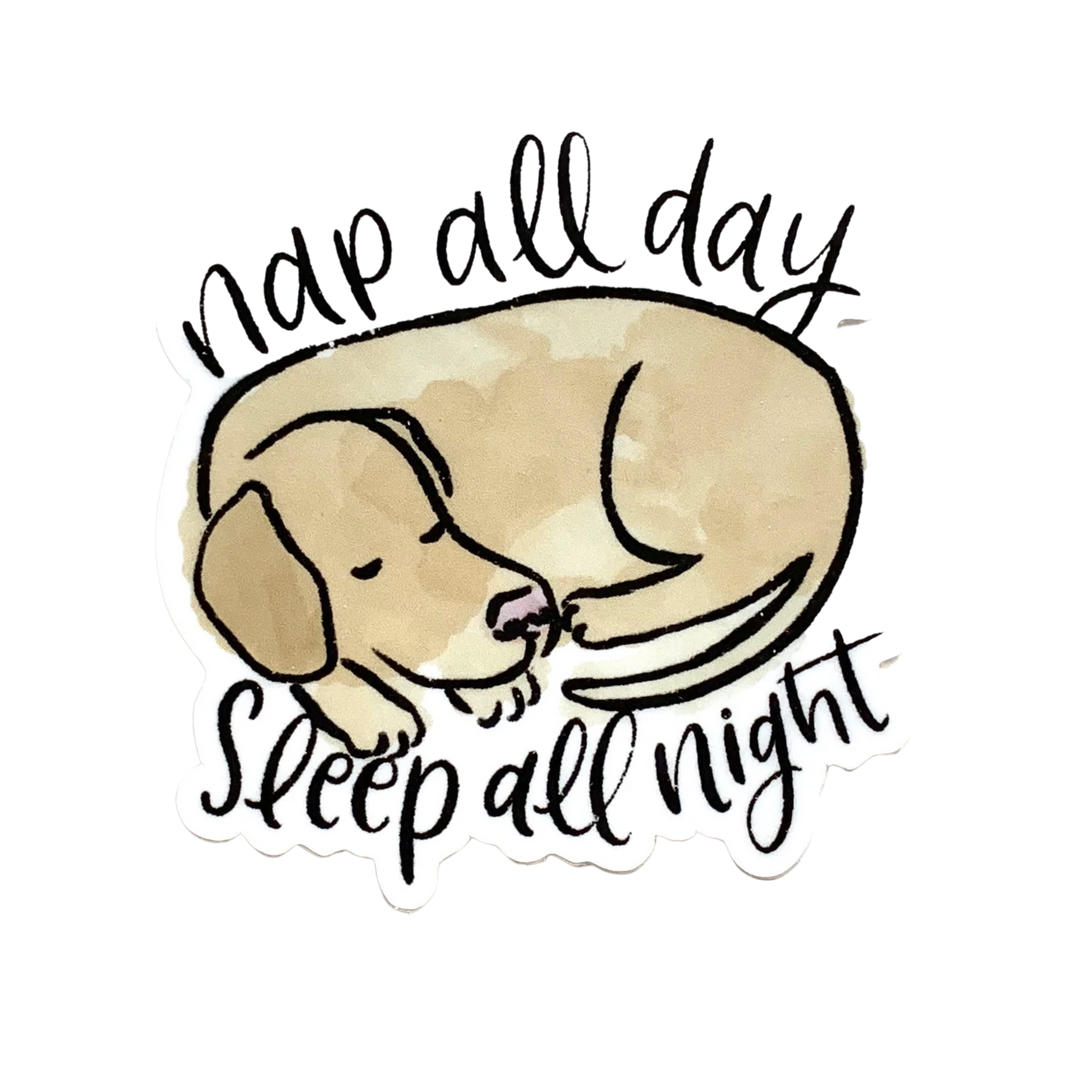 Nap All Day Sleep All Night Dog Sticker