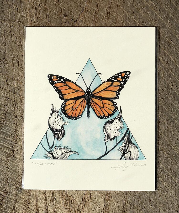 Monarch Butterfly  8" x 10" Print