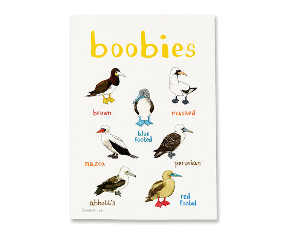 Boobies A3 Art Print