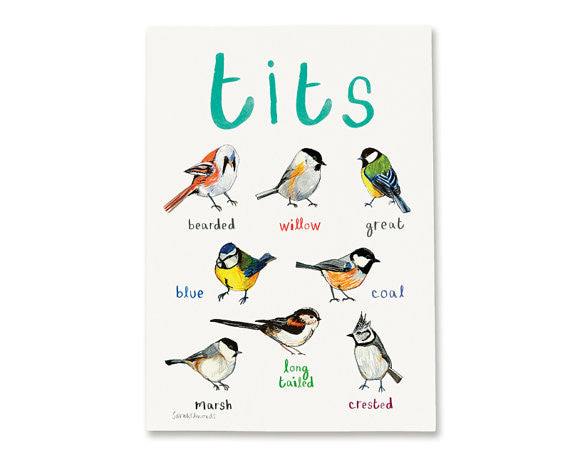 Tits A3 Art Print