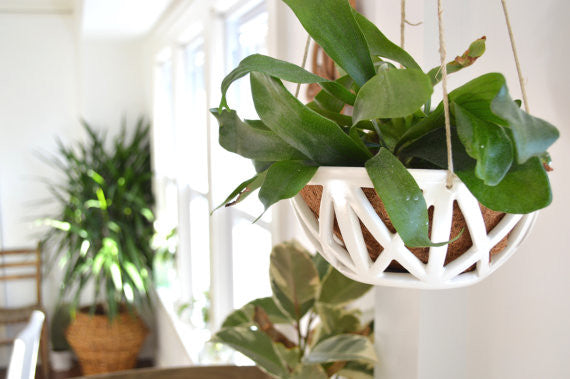 Hanging Planter