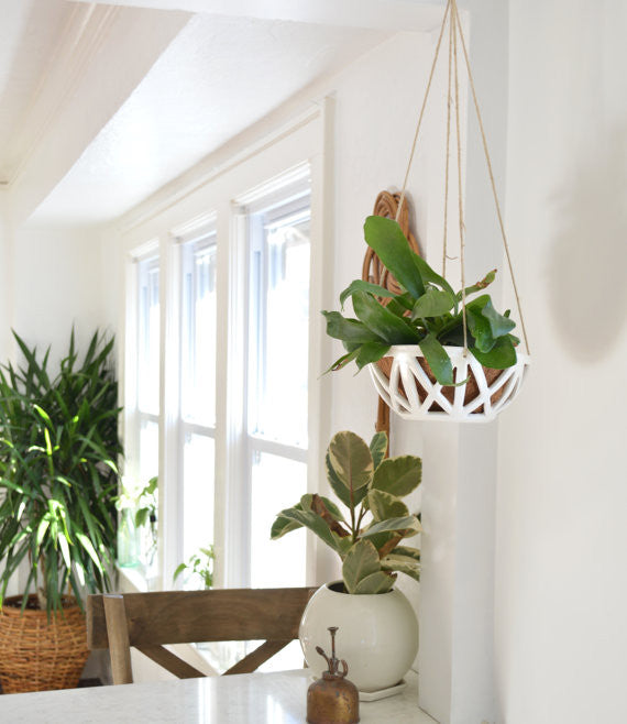 Hanging Planter