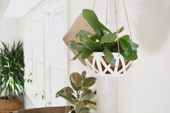 Hanging Planter