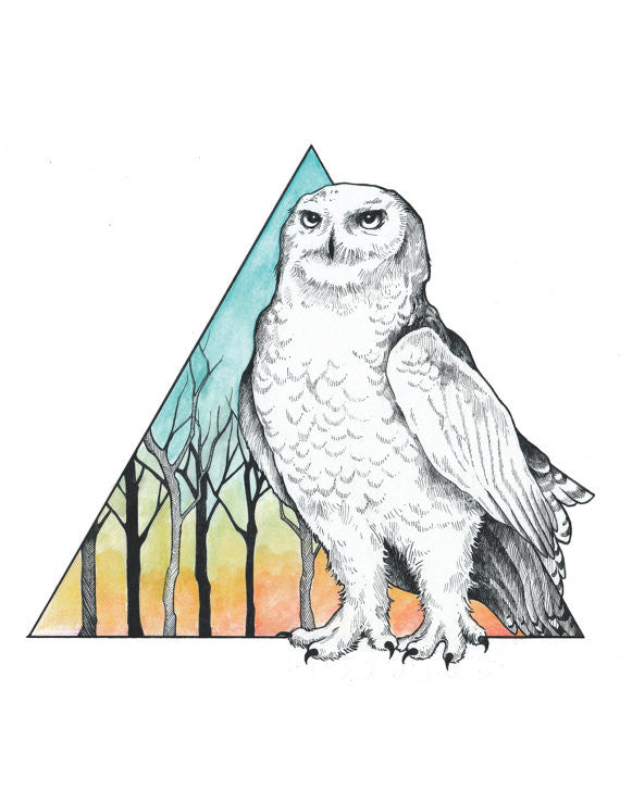 Snowy Owl "Quiet Vigilance" 8x10 Print