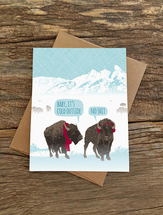 Baby It's Cold Bison Card Boxed Set