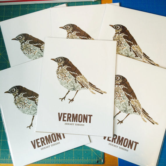 Vermont State Bird 16x20 Art Print