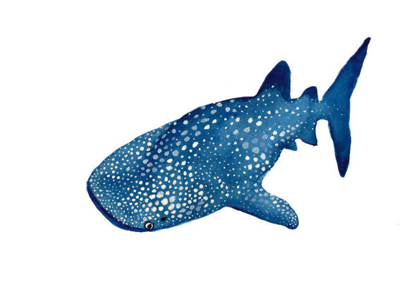 Whale Shark Watercolor Print 5" x 7"