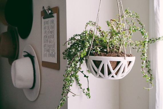 Hanging Planter