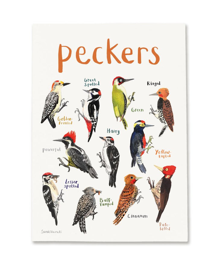 Peckers A4 Print