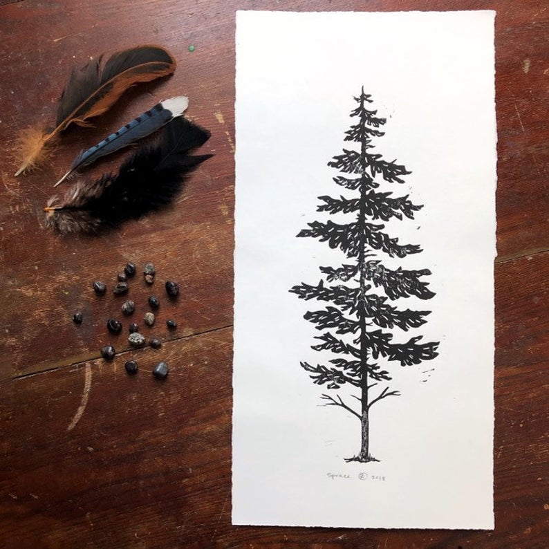 Spruce Print