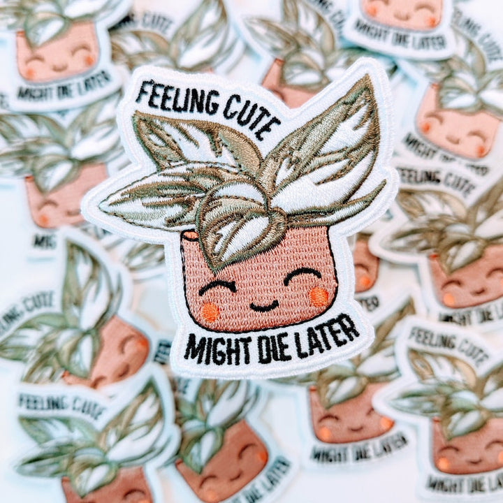 Feeling Cute Patch