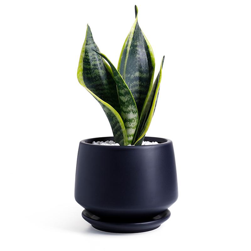5.1" Matte Black Porcelain Planter with Saucer