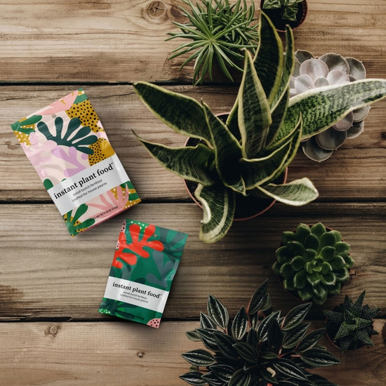 Instant Plant Food 4-Pack