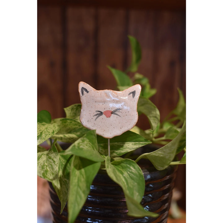 Plant Buddies - Cat / Kitten