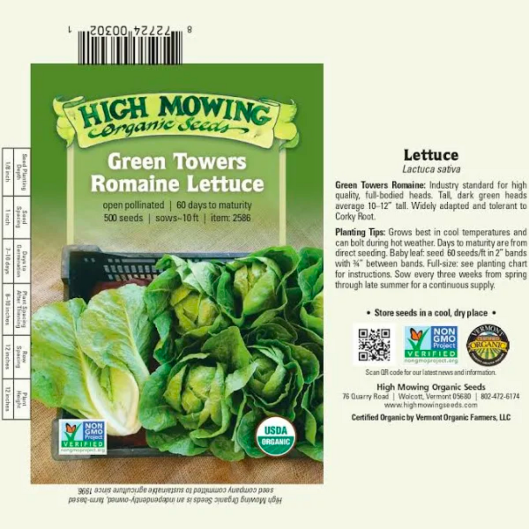Green Towers Lettuce: 500 Seeds