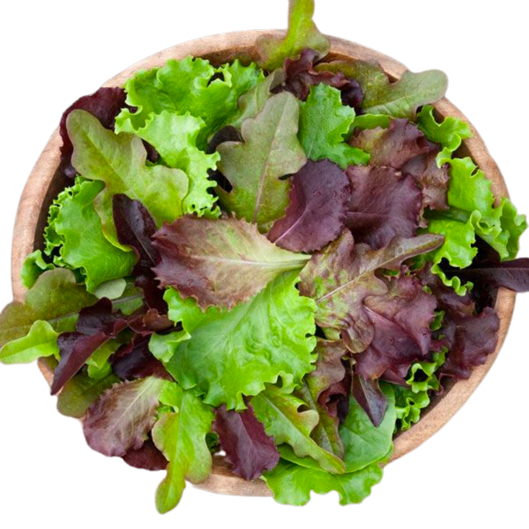 DMR Salad Blend: 500 Seeds