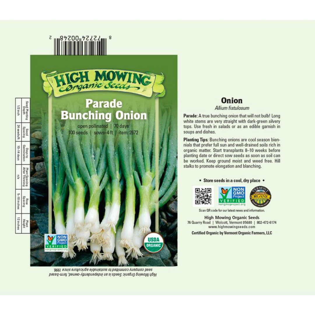 Parade Bunching Onion: 100 Seeds